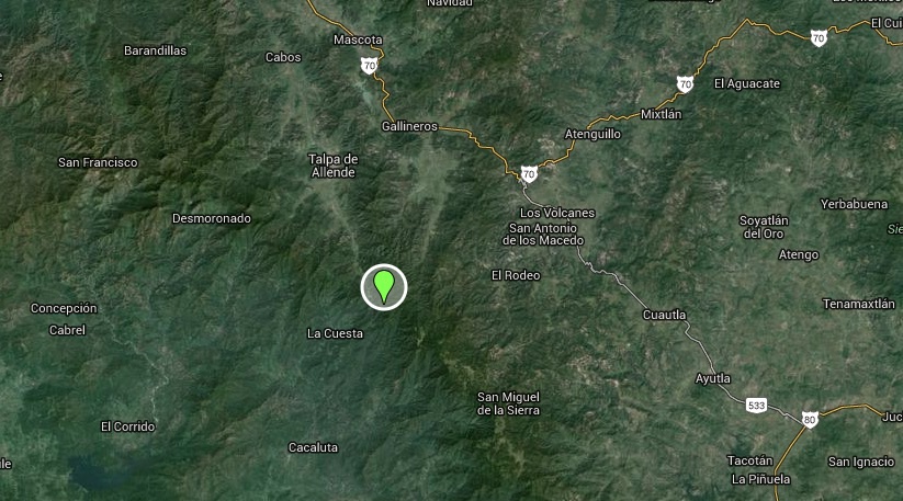 El punto verde muestra la ubicación del bosque de maple, en Talpa de Allende. Imagen: Google Maps