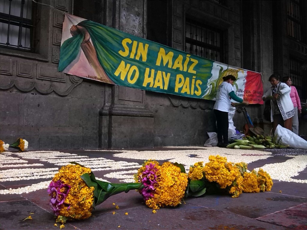 Manifestación Sin Maíz no hay País en Cuernavaca. Foto: Moreloshabla.tv